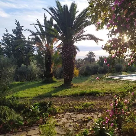 Mas Del Freixe